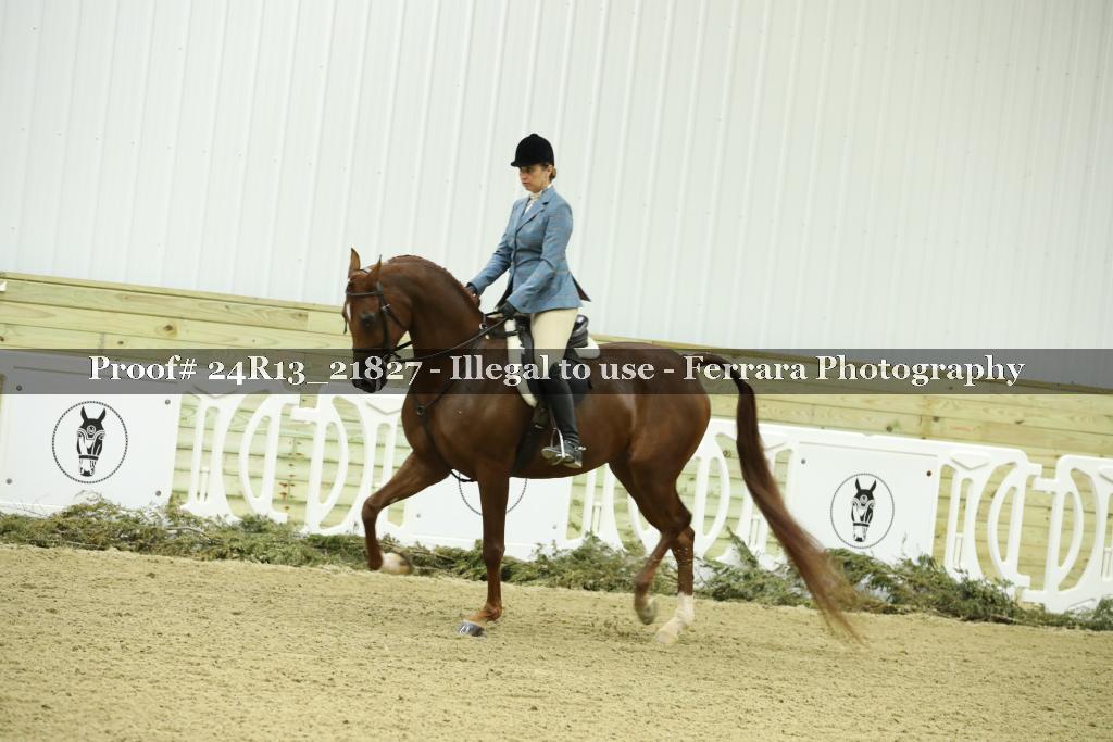 Proof 24R13_21827