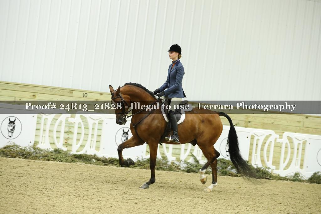 Proof 24R13_21828