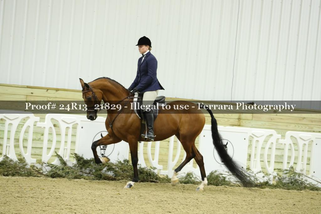 Proof 24R13_21829