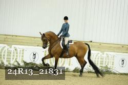 24R13_21831 proof