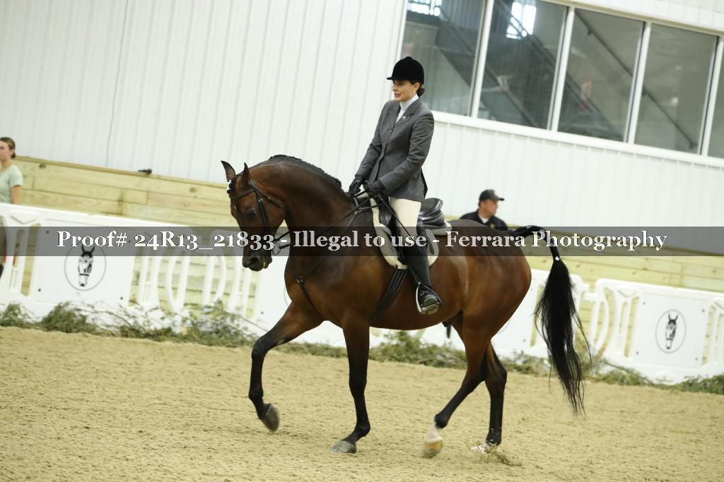 Proof 24R13_21833