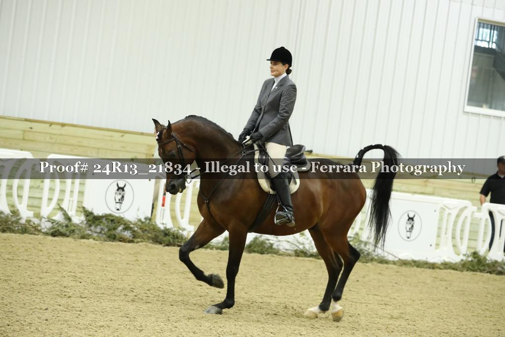 Proof 24R13_21834