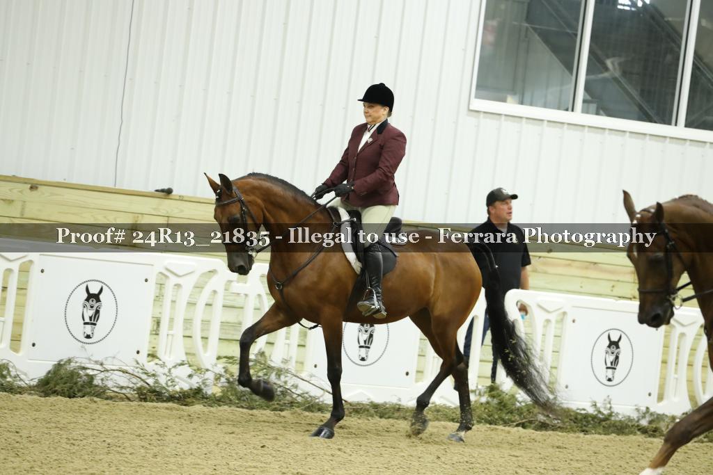 Proof 24R13_21835