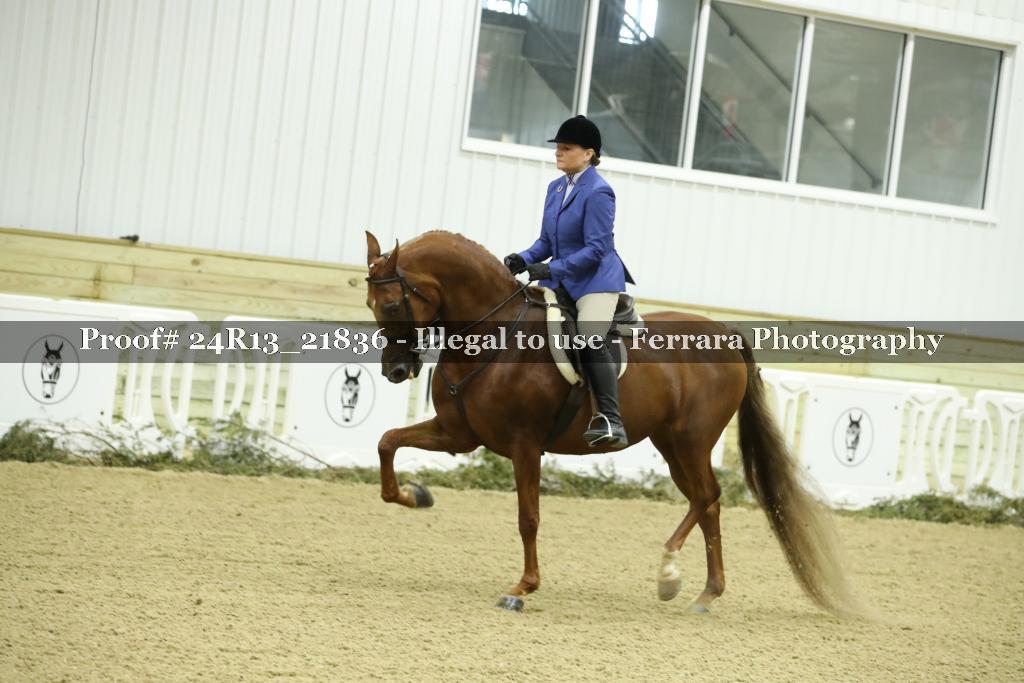 Proof 24R13_21836