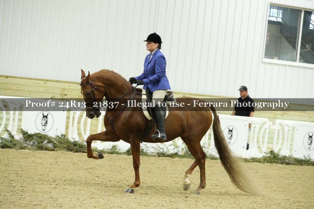 Proof 24R13_21837