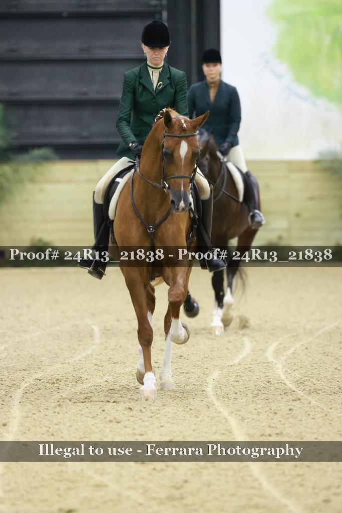 Proof 24R13_21838