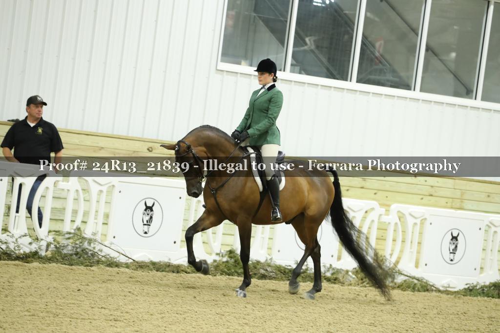 Proof 24R13_21839