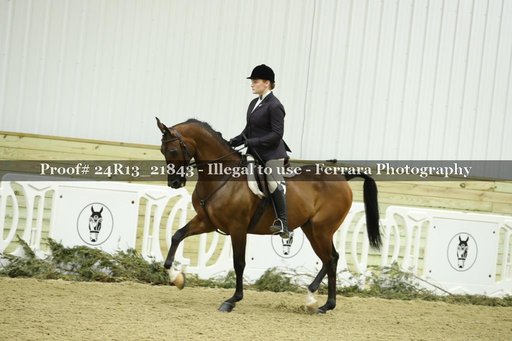 Proof 24R13_21843