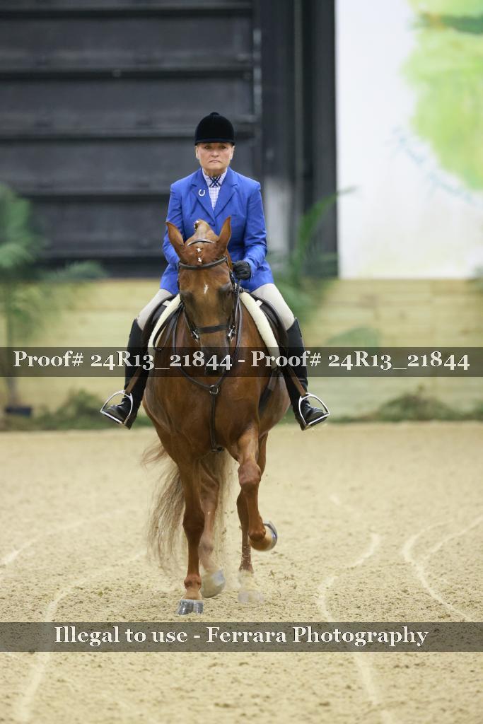 Proof 24R13_21844