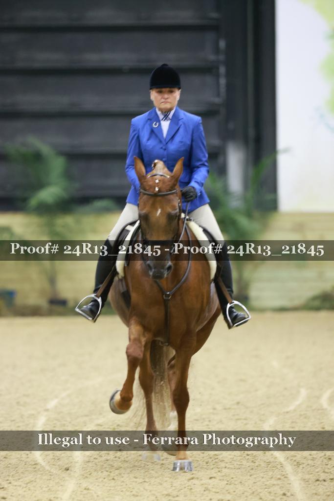 Proof 24R13_21845