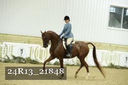 24R13_21848 proof