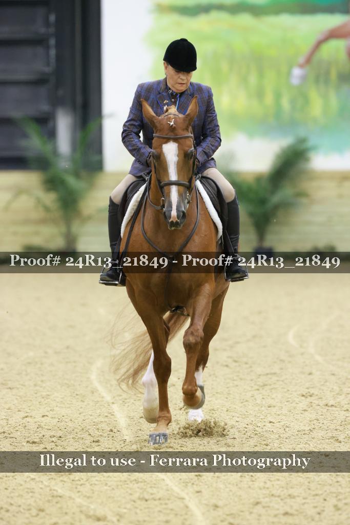 Proof 24R13_21849
