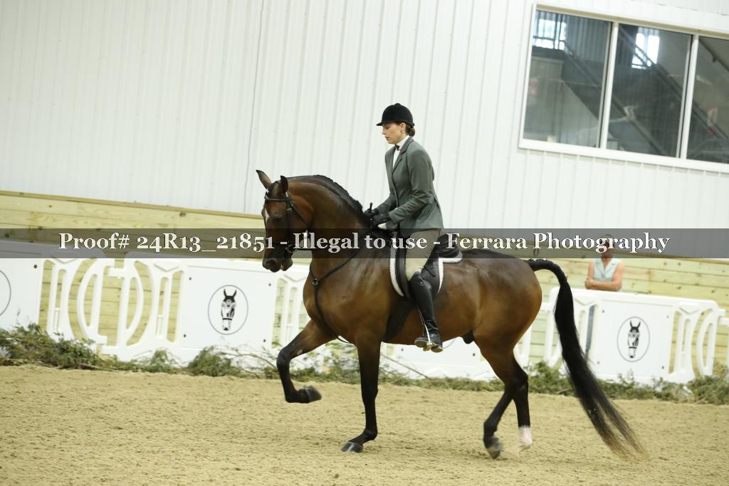 Proof 24R13_21851