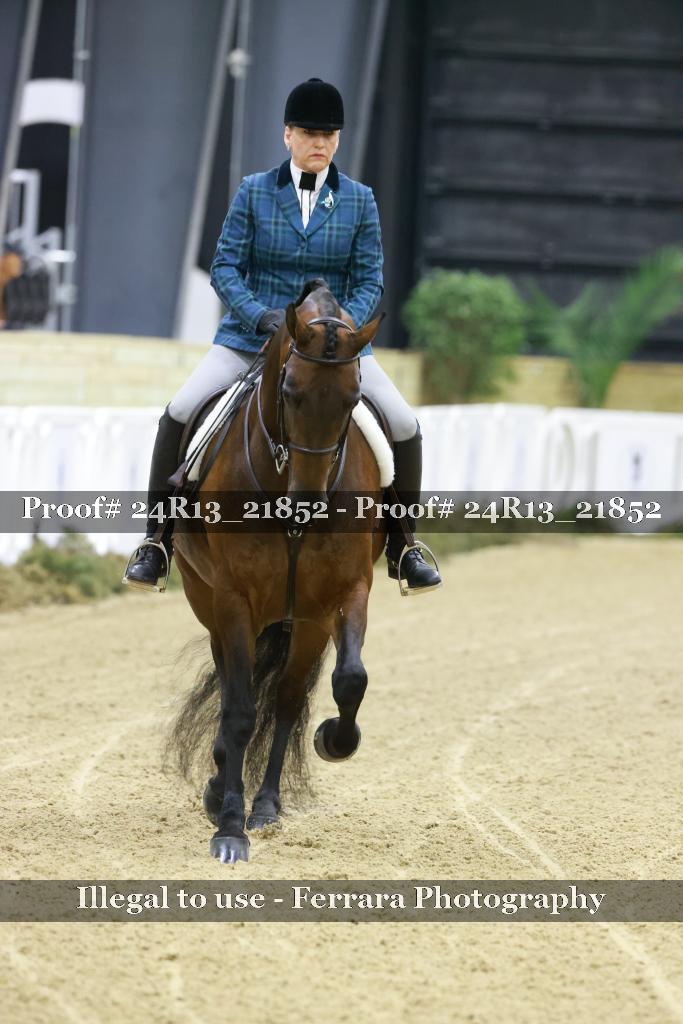 Proof 24R13_21852
