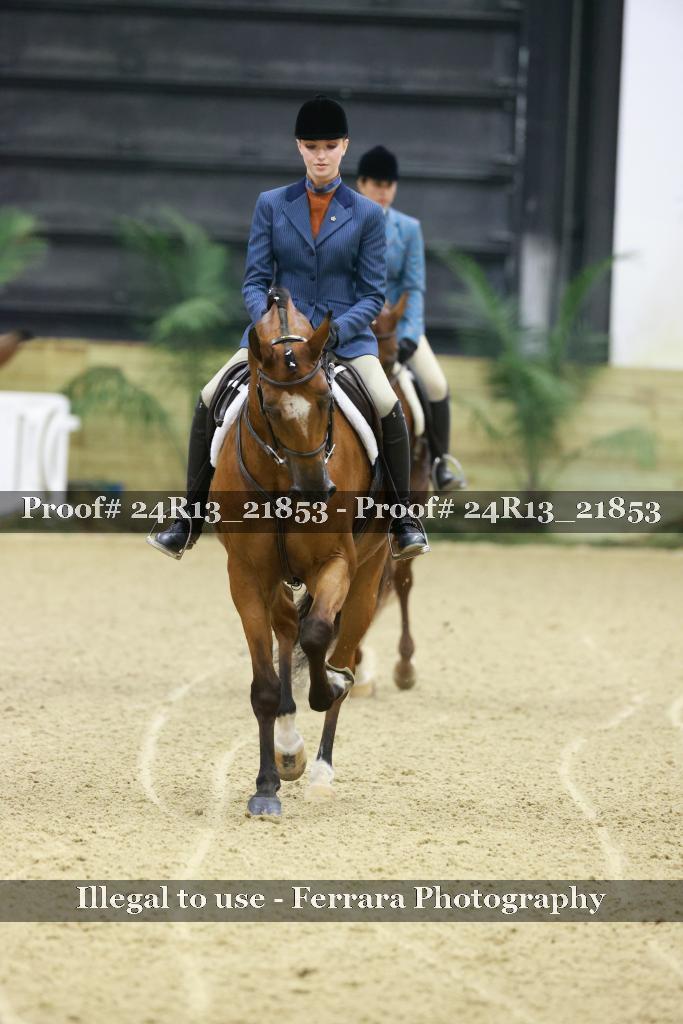 Proof 24R13_21853