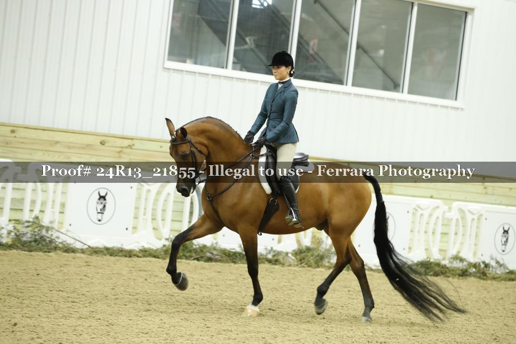 Proof 24R13_21855