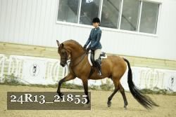24R13_21855 proof