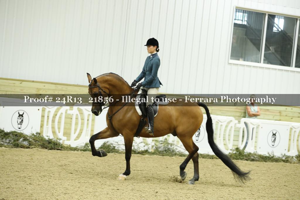 Proof 24R13_21856