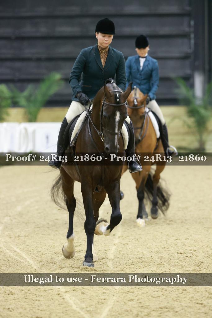 Proof 24R13_21860
