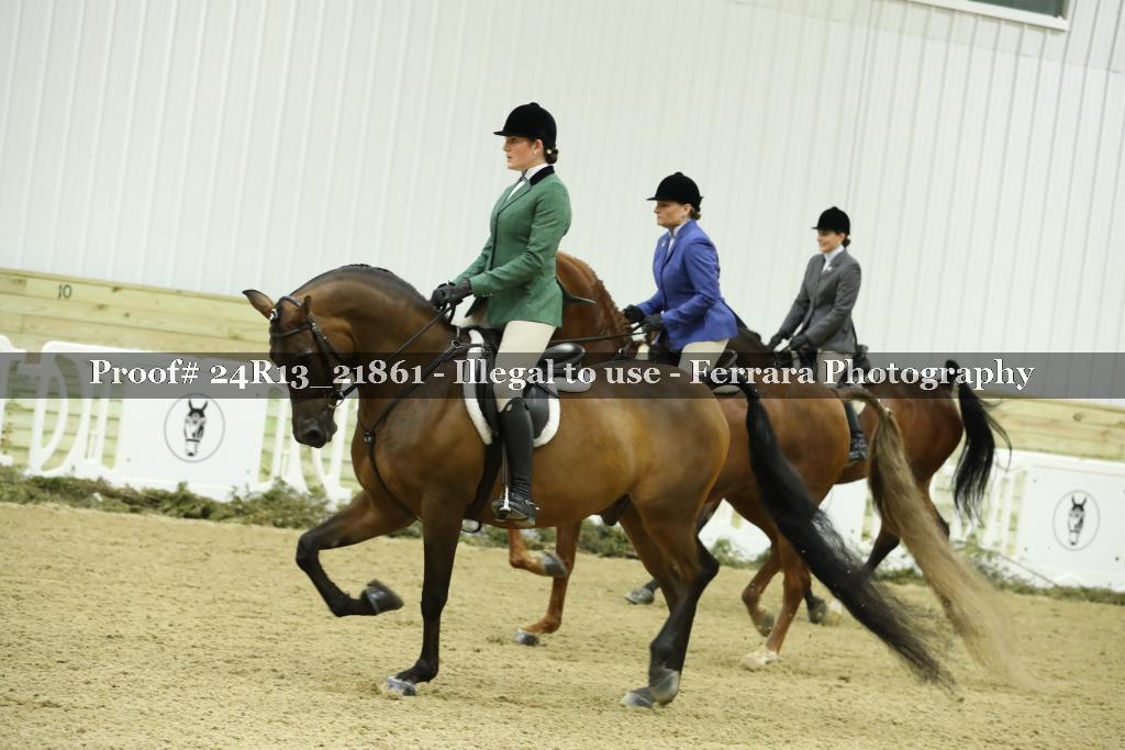Proof 24R13_21861