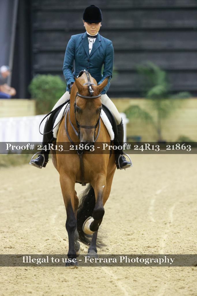 Proof 24R13_21863