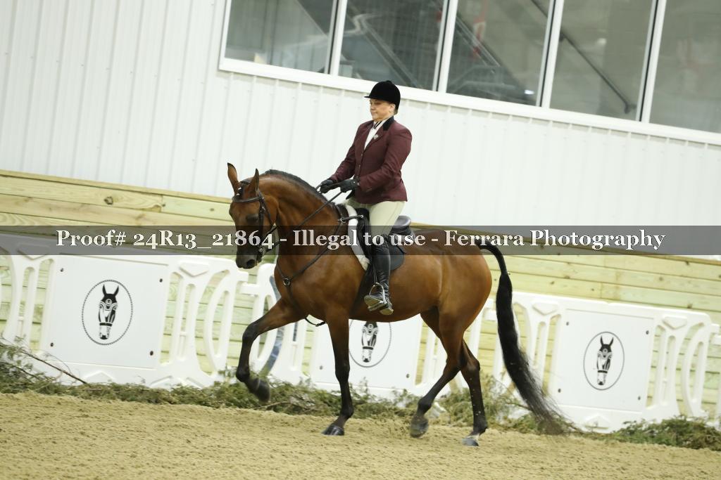 Proof 24R13_21864