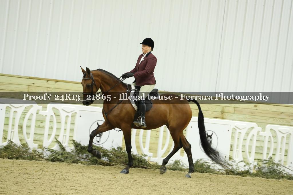 Proof 24R13_21865