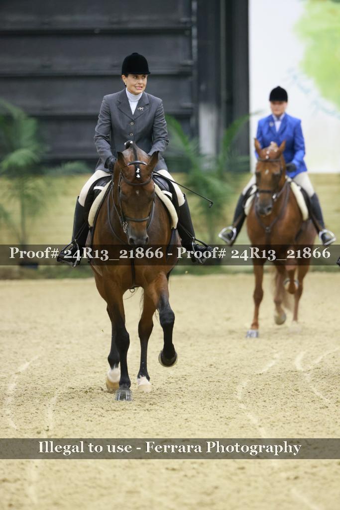 Proof 24R13_21866