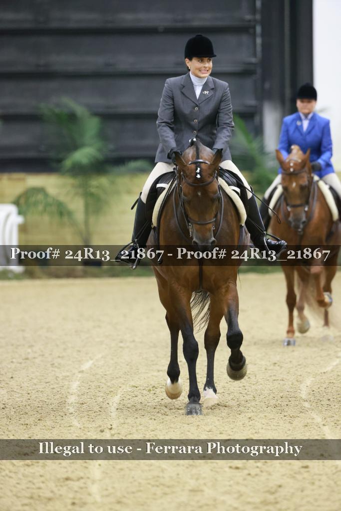 Proof 24R13_21867
