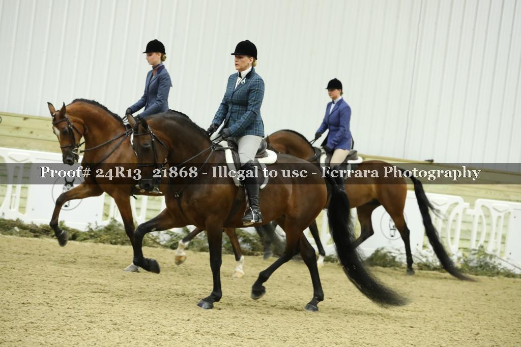 Proof 24R13_21868