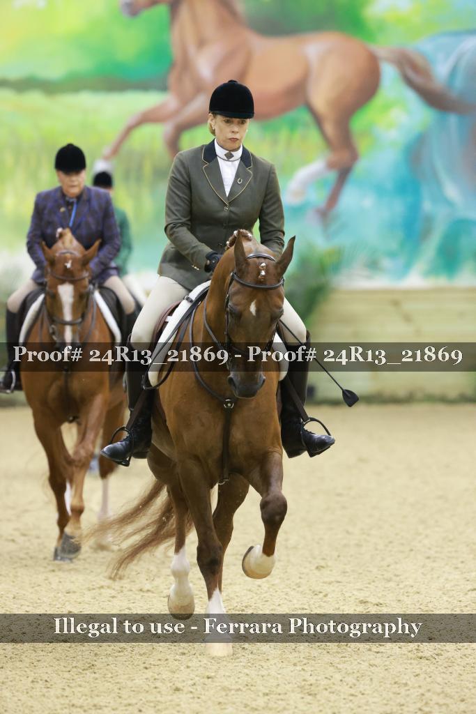Proof 24R13_21869