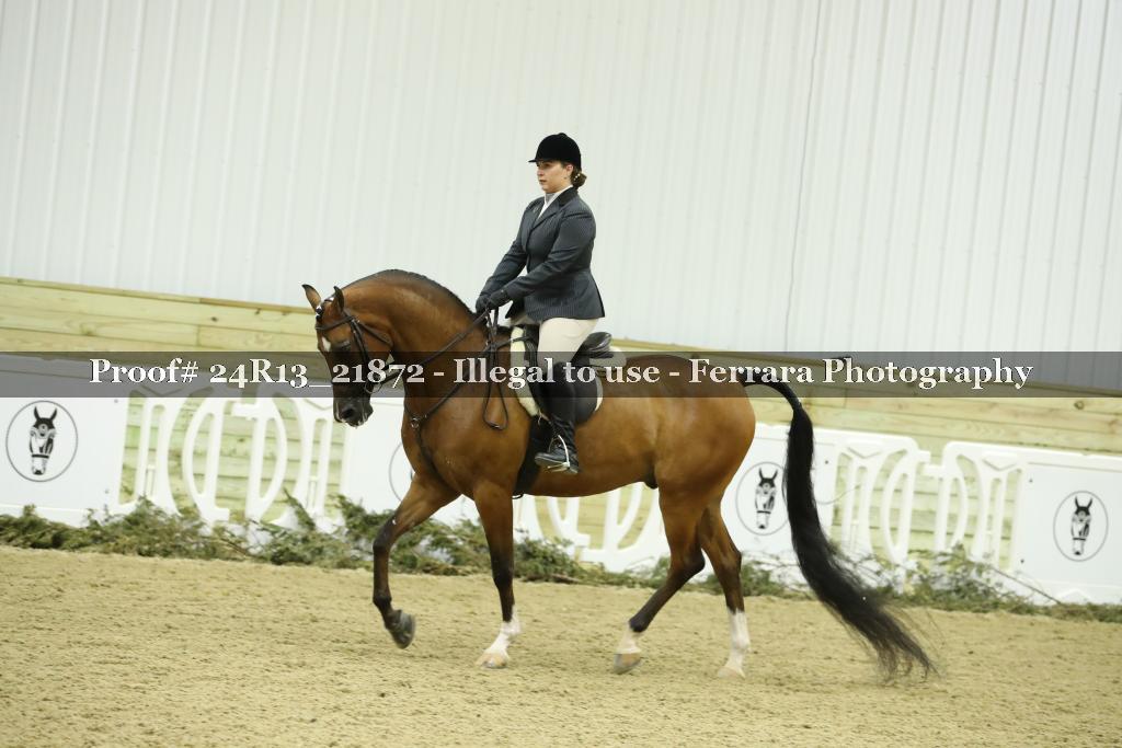 Proof 24R13_21872