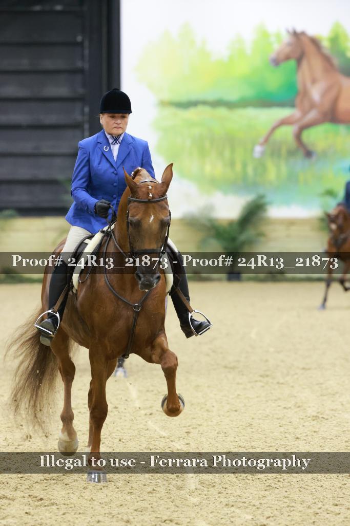 Proof 24R13_21873