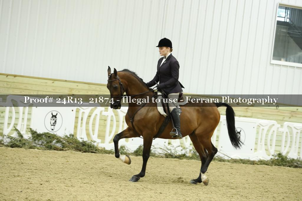 Proof 24R13_21874