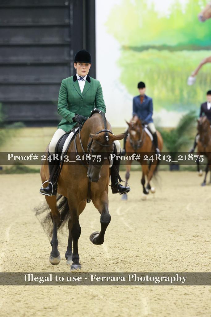 Proof 24R13_21875