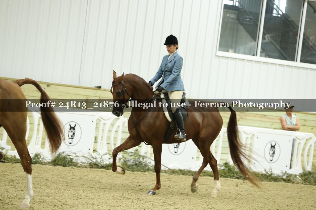 Proof 24R13_21876
