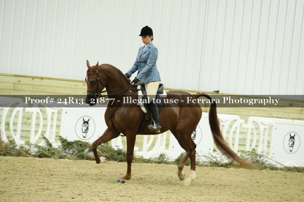 Proof 24R13_21877