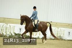 24R13_21877 proof