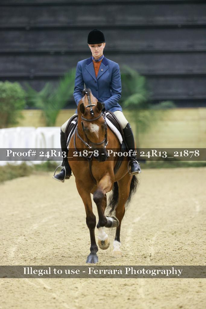 Proof 24R13_21878