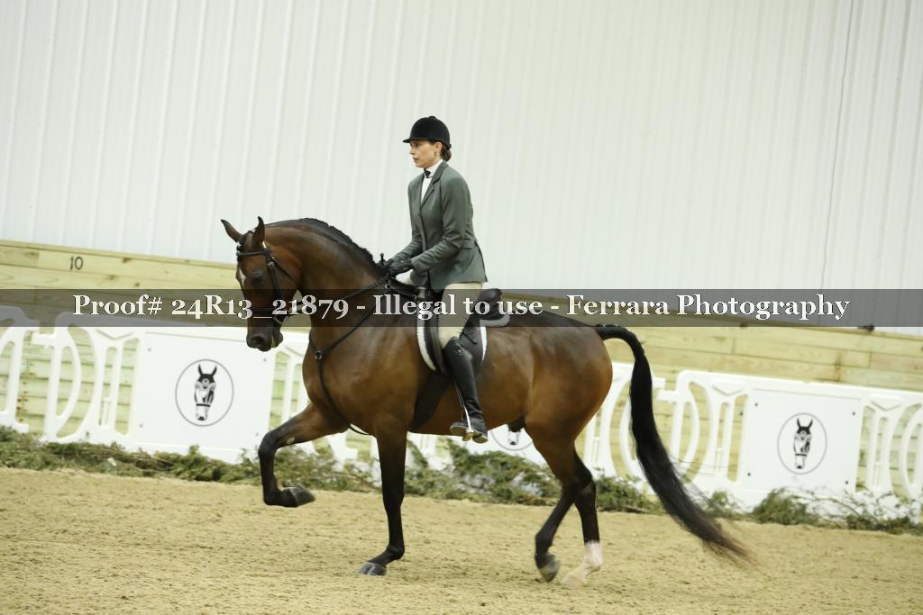 Proof 24R13_21879