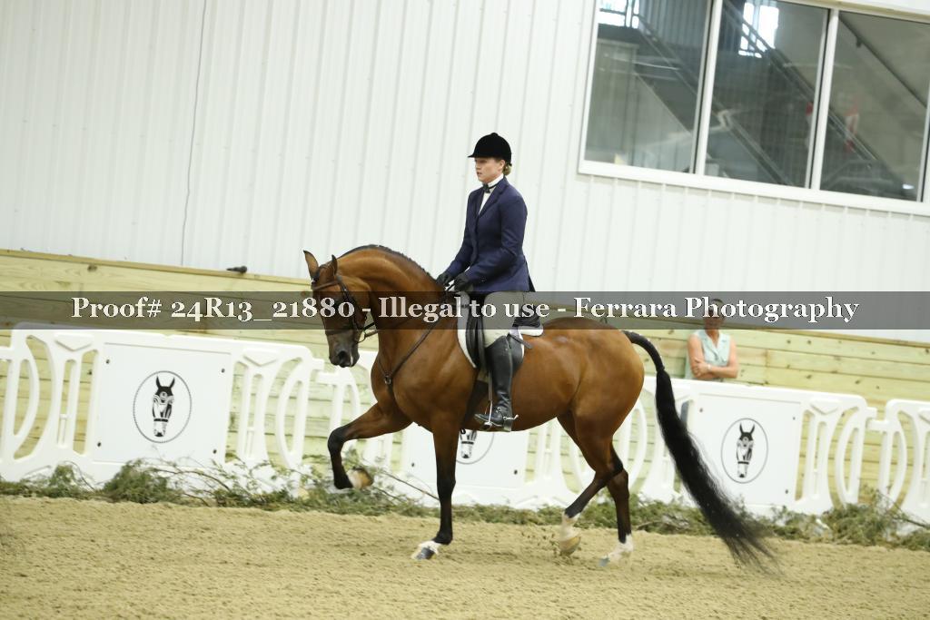 Proof 24R13_21880