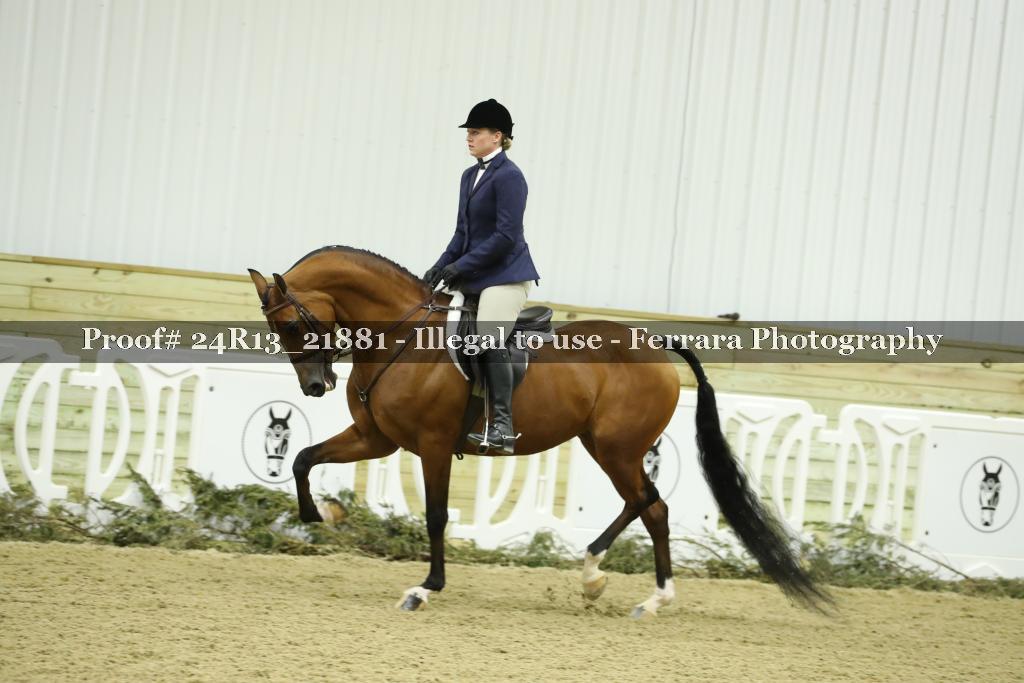 Proof 24R13_21881