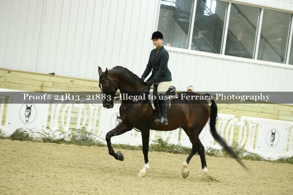 Proof 24R13_21883