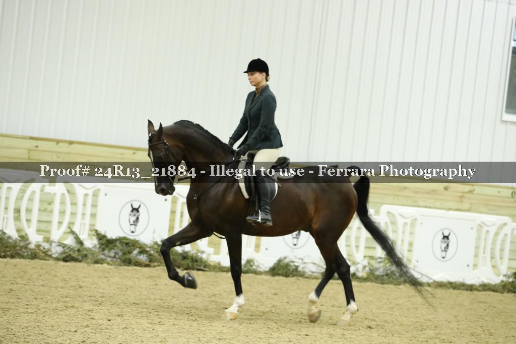 Proof 24R13_21884