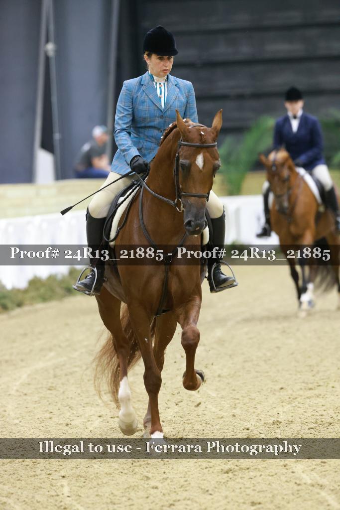 Proof 24R13_21885