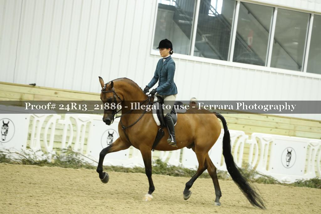 Proof 24R13_21886
