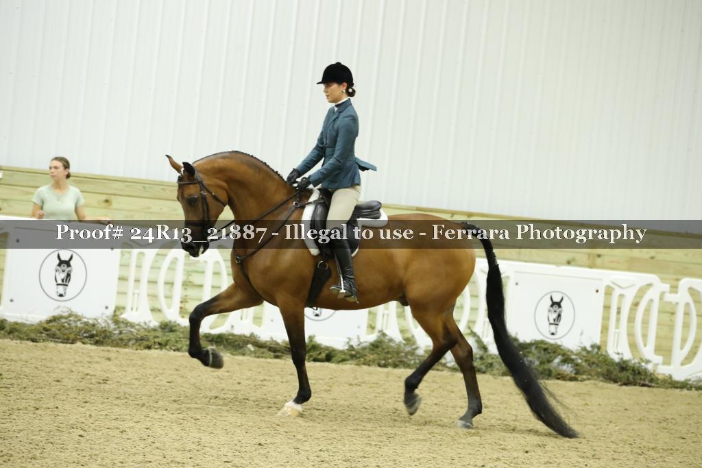 Proof 24R13_21887