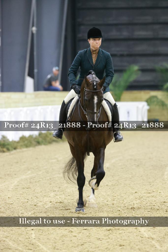 Proof 24R13_21888