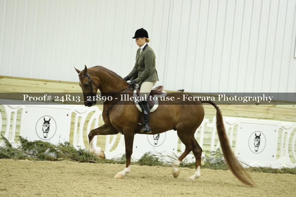 Proof 24R13_21890