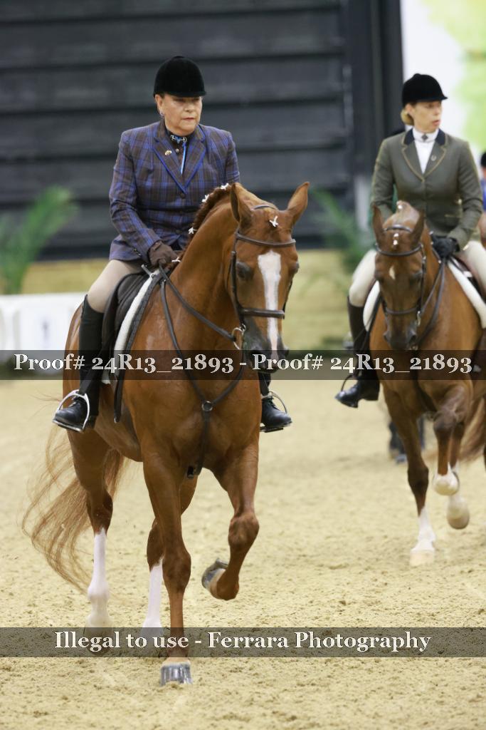 Proof 24R13_21893